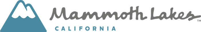 VM Main Logo